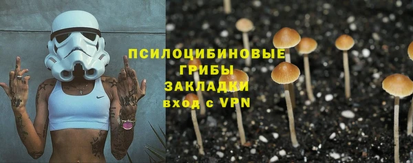 бошки Балахна